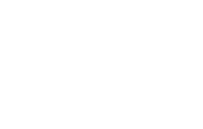 raizen-logo